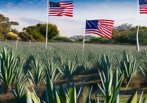 Mezcalifornia