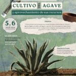 Taller Manejo Agroecológico Cultivo de Agave y aprovechamiento de sus recursos