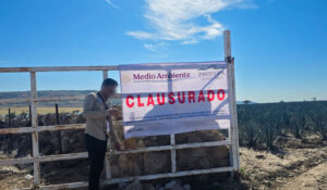 Profepa clausura predio por cambio de uso de suelo sin autorización en Valle de Guadalupe, Jalisco