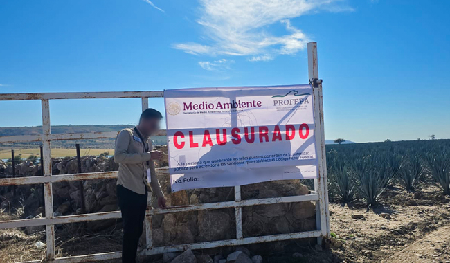 Profepa clausura predio por cambio de uso de suelo sin autorización en Valle de Guadalupe, Jalisco