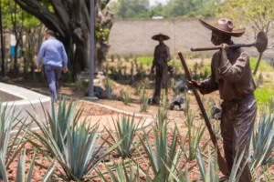 Tequila Lab celebra el Paisaje Agavero como Patrimonio Mundial