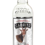 Cabrito Blanco (MX)