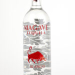 Magave Blanco