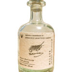 Maguey Melate Tepextate – Gregorio Martinez Garcia