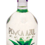 Penca Azul Blanco
