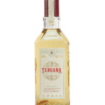 Tehuana Con Gusano