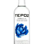 Tepoz Silver