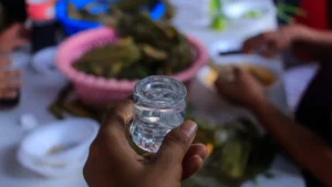 Debate mezcalero: ¿Existieron destilados prehispánicos en México?