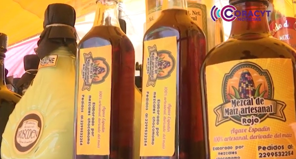 Productores de Ixtenco innovan con mezcal de maíz tradicional