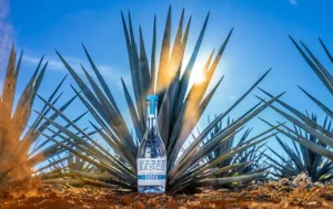 Weber Ranch: contracorriente en la industria del tequila