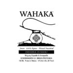 Wahaka Ensamble en Barro