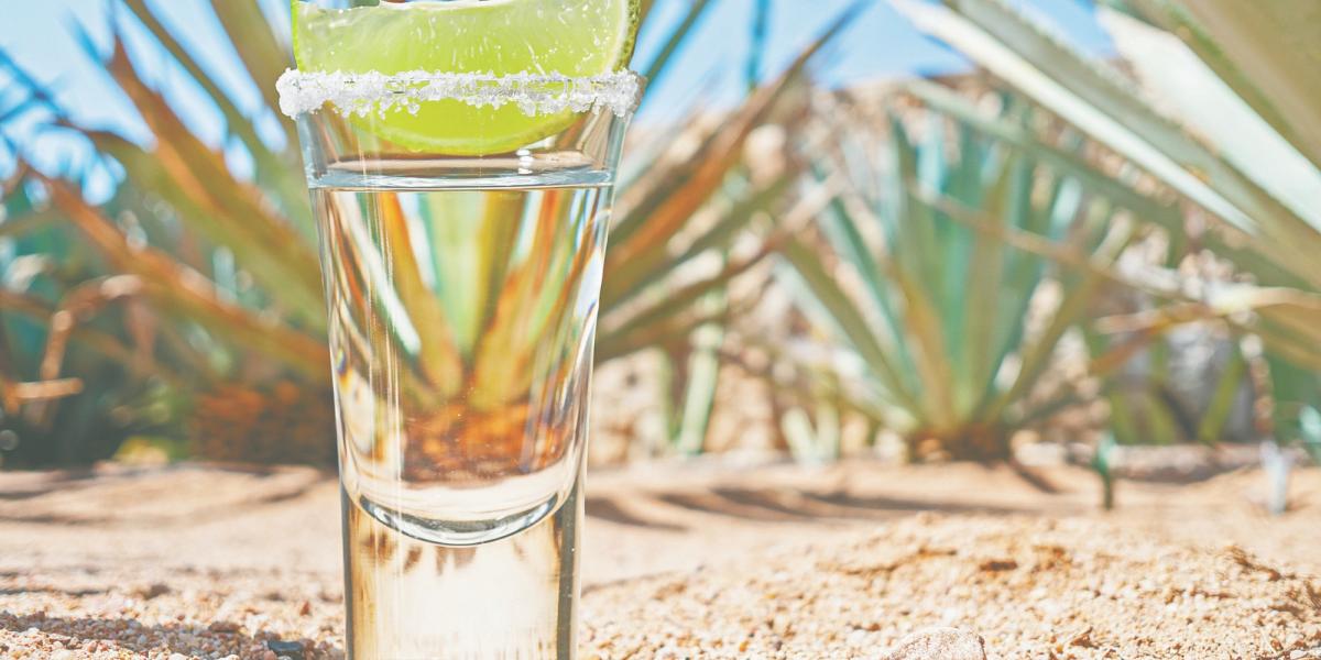 El nuevo capítulo del tequila: crecimiento global y desafíos