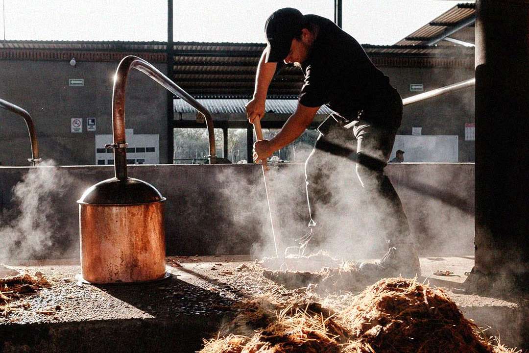 Generación Z reduce gasto en alcohol: impacto en destilados de agave