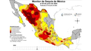 Tequila falso: mapa de riesgos por inoperancia regulatoria