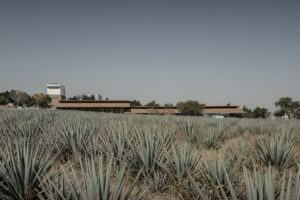 Vinata de Mezcal / estudio ALA: arquitectura y tradición
