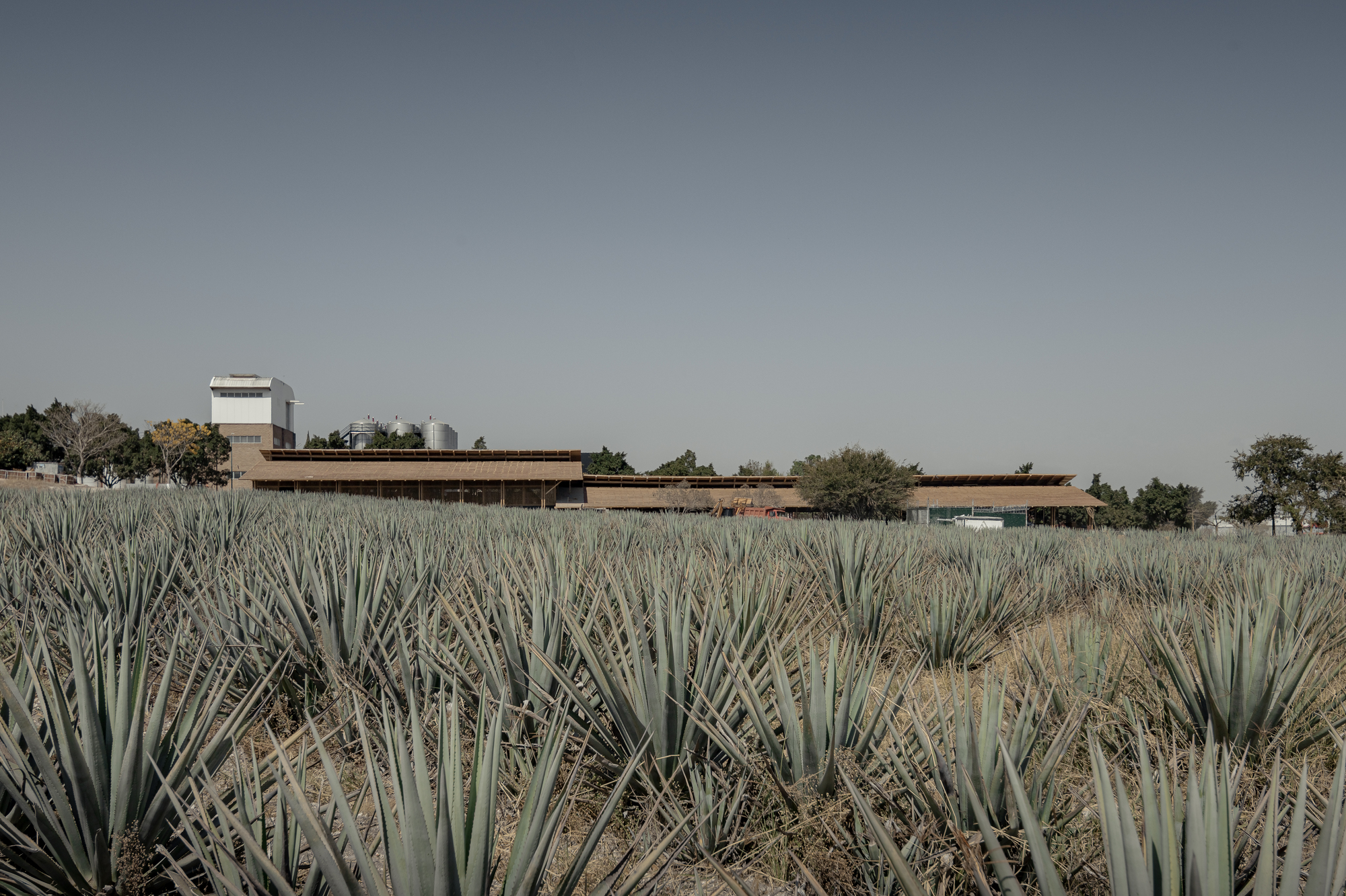 Vinata de Mezcal / estudio ALA: arquitectura y tradición