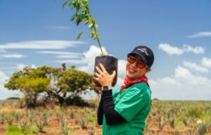 Raíz Verde Campo Azul supera 5 mil árboles sembrados