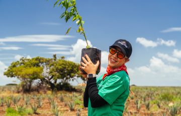 Raíz Verde Campo Azul supera 5 mil árboles sembrados