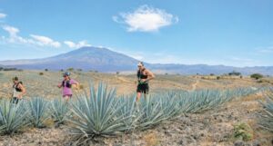 Ultra Tequila: cinco rutas entre agaves y volcán en 2026