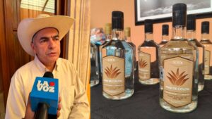 Sotol: exportaciones caen más de 50% en 2026 por incertidumbre comercial