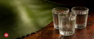 El mezcal ante el reto de innovar: procesamiento, sustentabilidad y trazabilidad - The Food Tech
