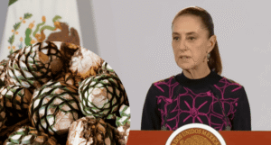 Sheinbaum: proyecta plan integral para resolver crisis del agave | El Informador