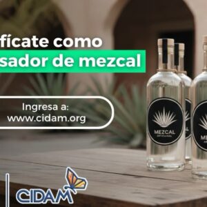 (sin título)